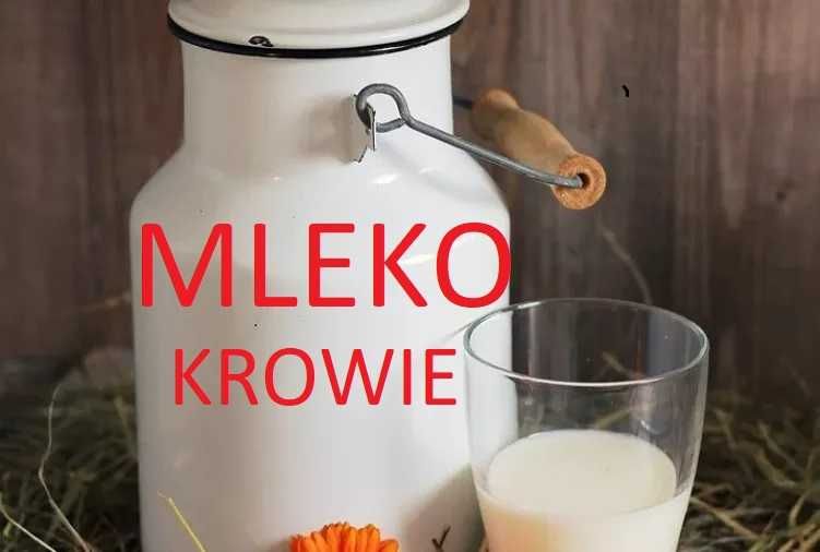 Mleko Krowie 5 zl. - Sochaczew