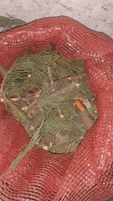 Zrębka sosnowa sucha w workach 9zl za worek  50l