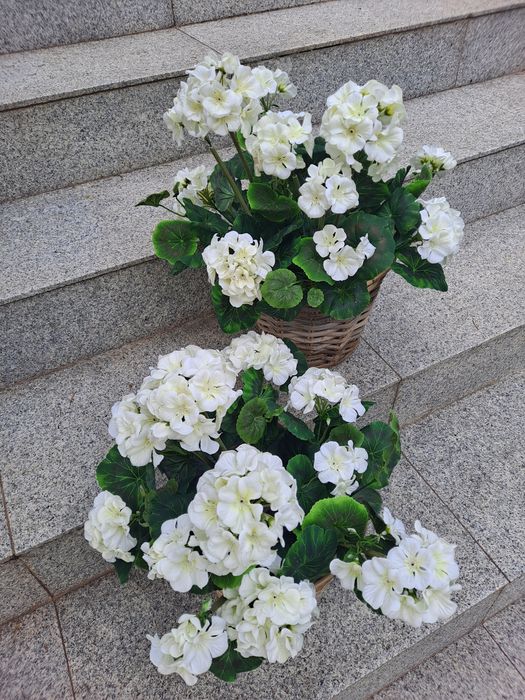 2szt. Pelargonie sztuczne w koszyku.