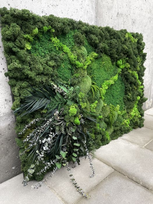 Obraz z mchu i roślin stabilizowanych