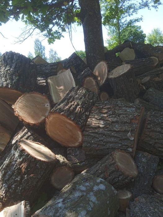 Купить дрова з доставкою різних порід