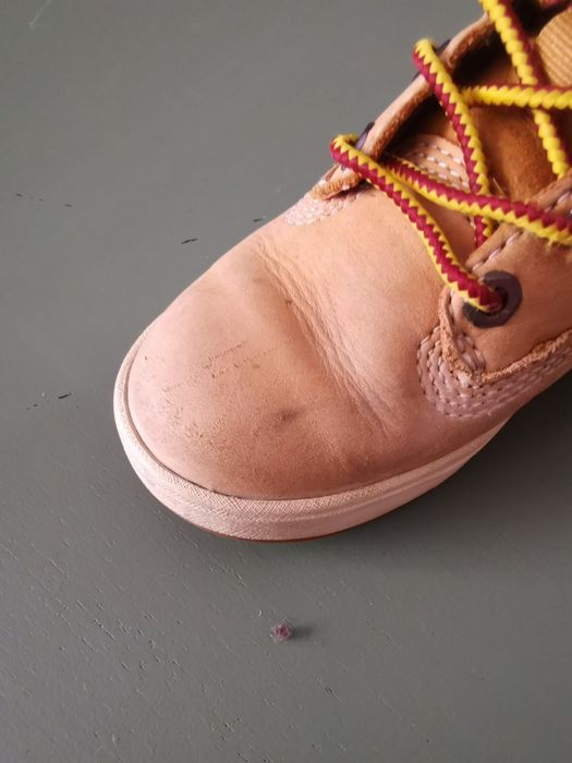 Buty za kostkę timberland