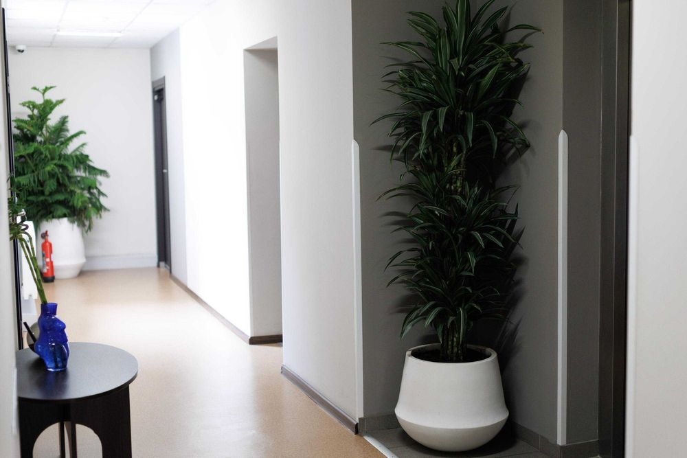 Оренда кабінетів, офісів, в центрі біля ТЦ Форуму