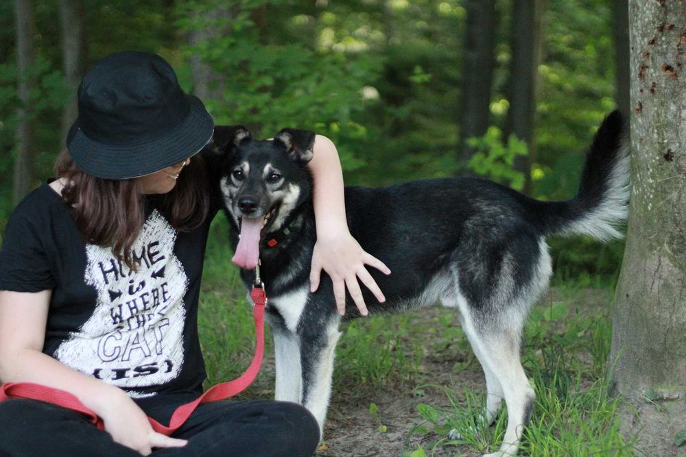 F-I-L-I   - lubi KOTY,  6-letni, łagodny, miły. [FILMIKI}