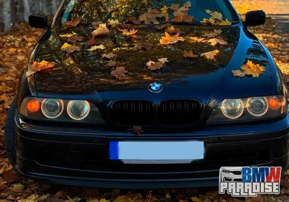 РАСПРОДАЖА! Двойная решетка радиатора М - ноздри БМВ Е39 Глянец/Мат