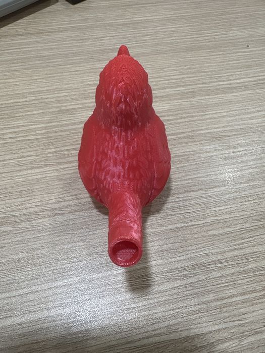 Passaro Asubiador