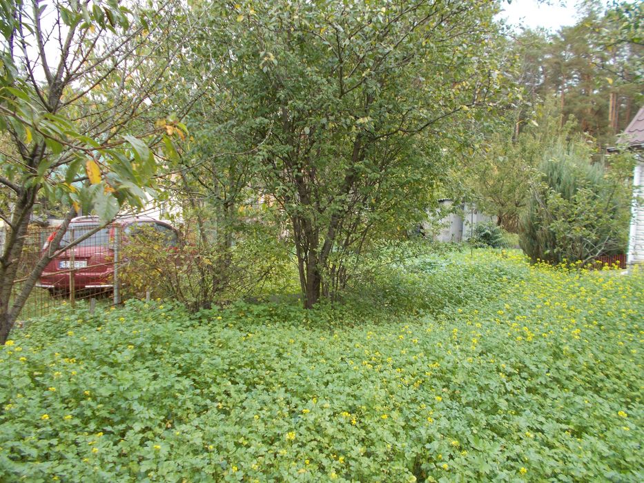 Продам приват зем ділянку 5 сот з будинком ст Хімік Гагаріна  Чернігів