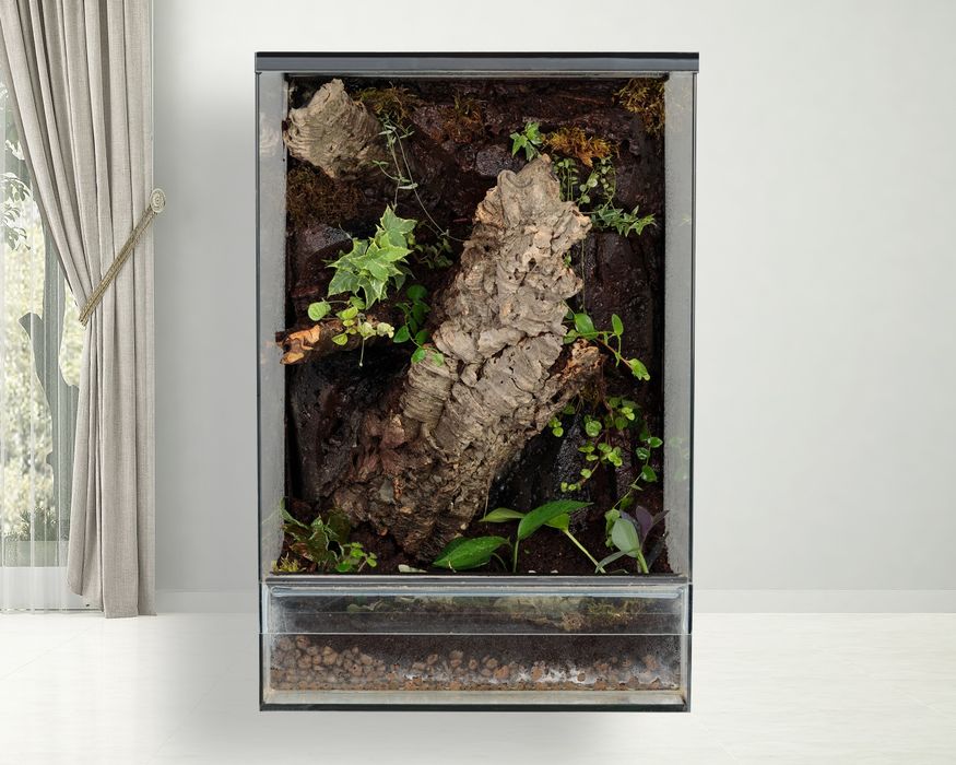 Terrarium paludarium las w szkle