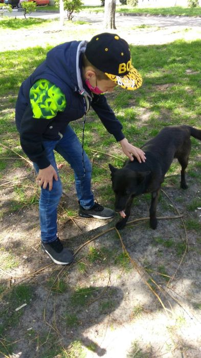 Подарую молоду собачку