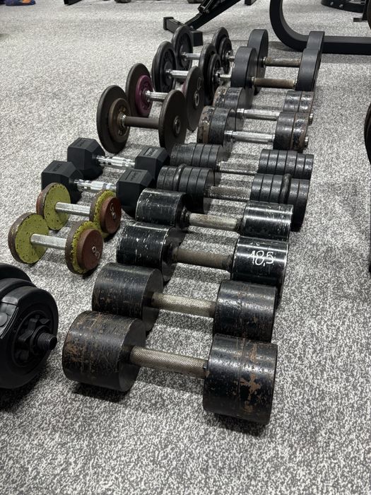 Domowy zestaw hantli