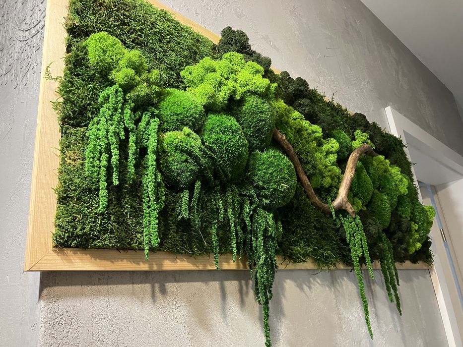 Obraz z mchów stabilizowanych do biura salonu żywy mech