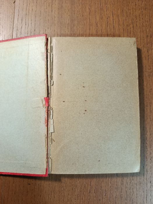 O colégio da Ameixoeira