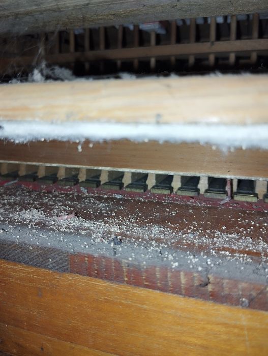 Fisharmonia organy piękne dźwięki