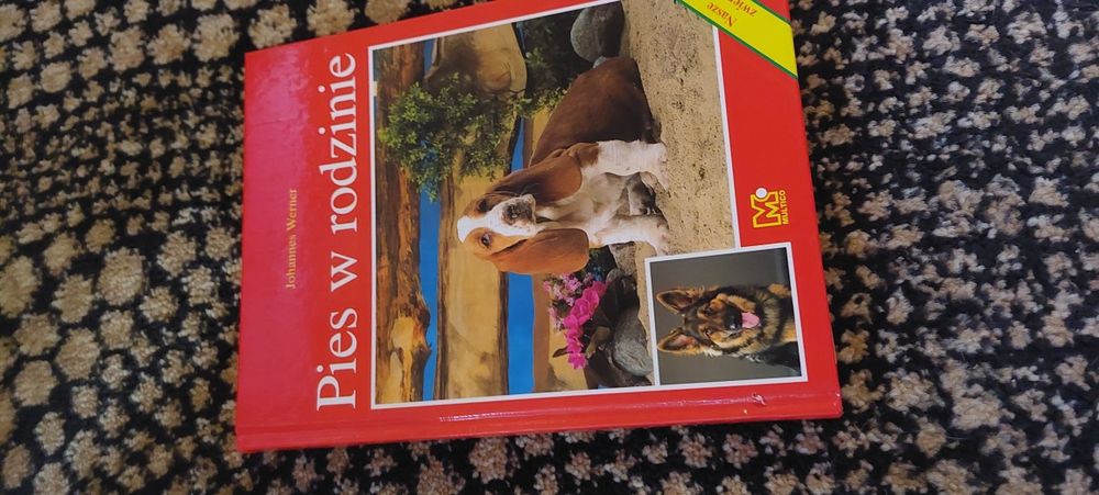 Pies w rodzinie Werner,  jak nowa