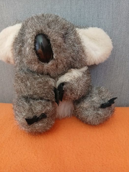 Koala łapkami dla dziecka