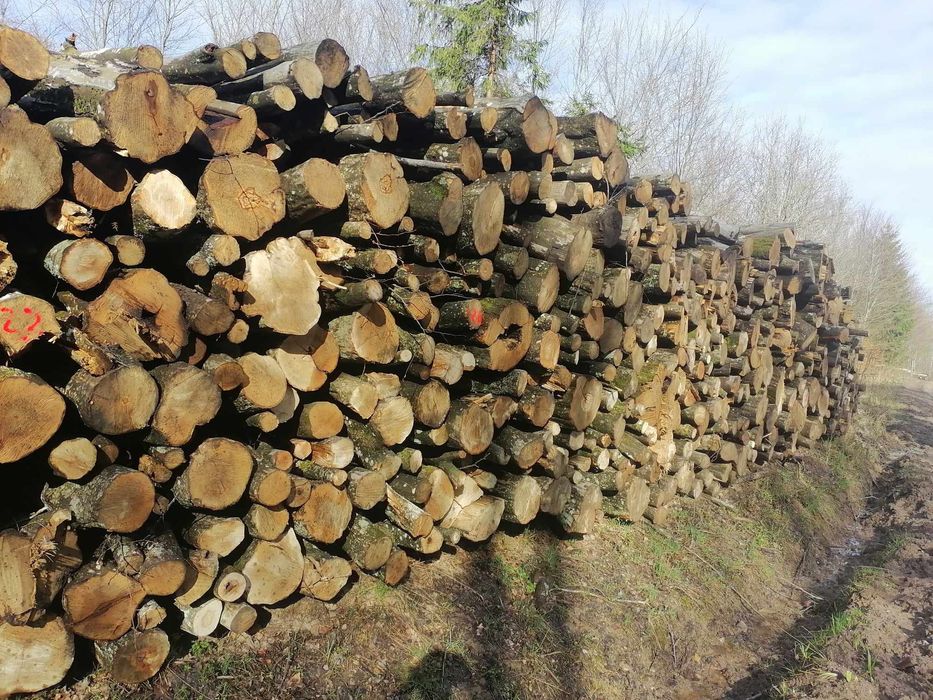 Sprzedam drewno kominkowe opałowe