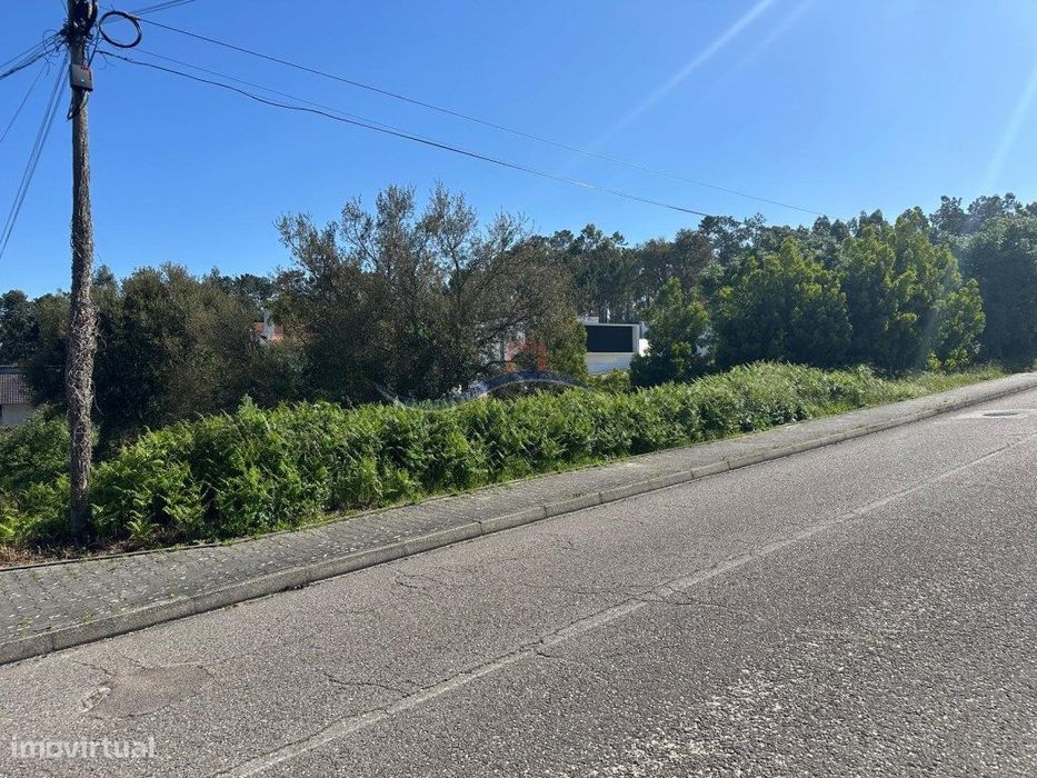 Terreno - Monte Real — Monte Real E Carvide, Leiria