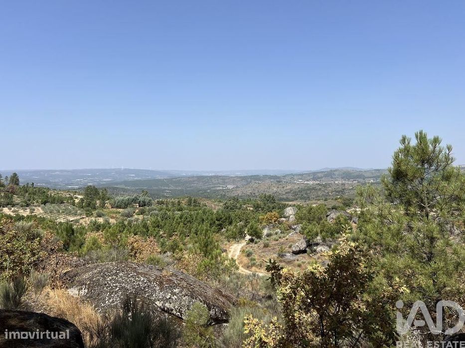 Terreno em Sernancelhe e Sarzeda de 44527,00 m2