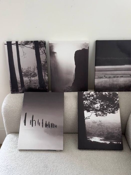 Conjunto de pinturas a preto e branco - 25€