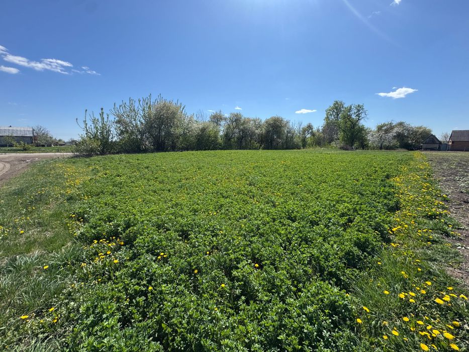 Продаж будинку с. Іванів - 30 сот!