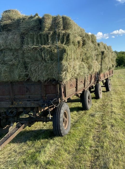 Продам гарне лугове сіно укос 2026 року