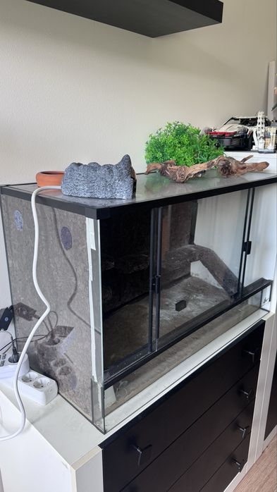 Terrarium Diversa czarne
