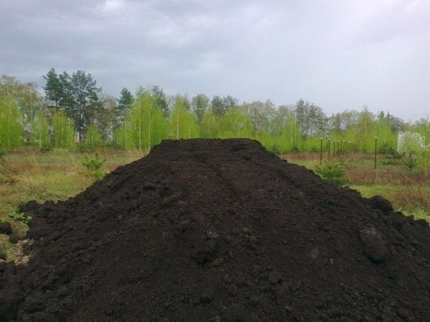 Навоз. Перегній. Грибниця. Чорнозем. Бориспіль та район.