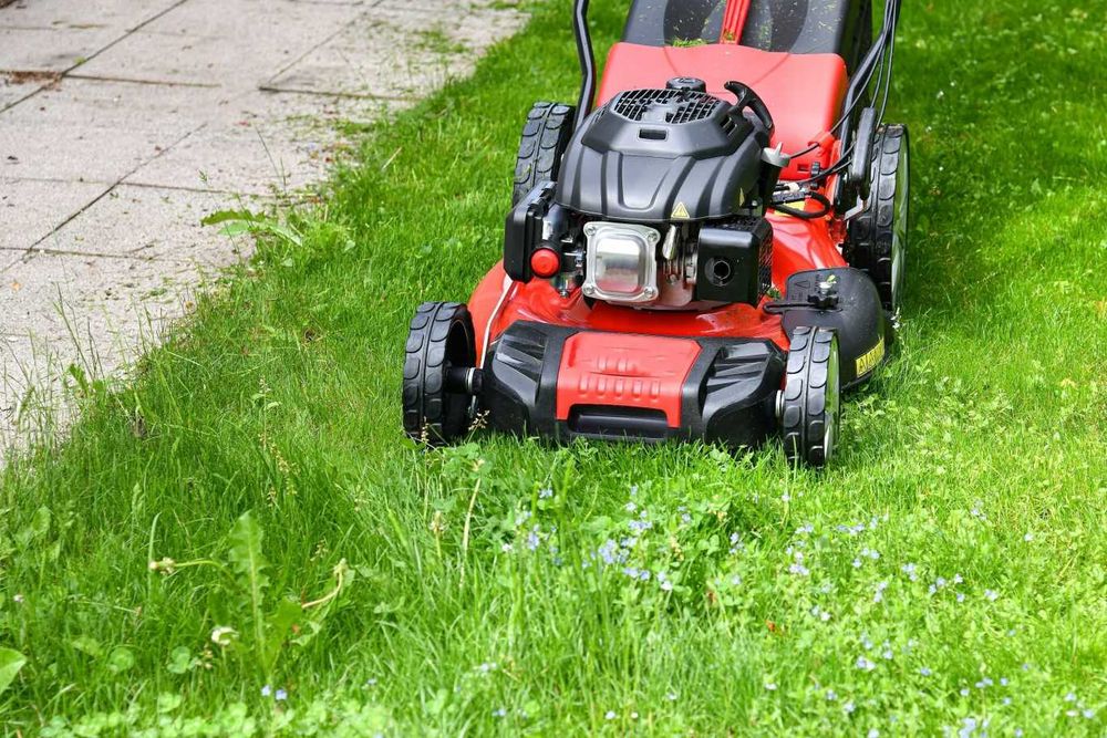 koszenie trawników oraz porządkowanie
