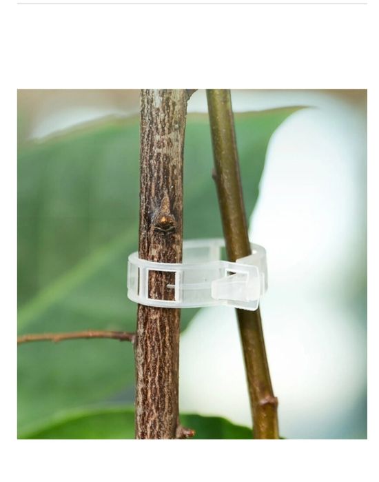 Zaciski do roślin pomidorów/ winogron