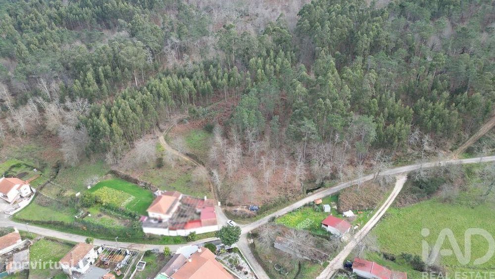 Terreno para construção em Espinhal