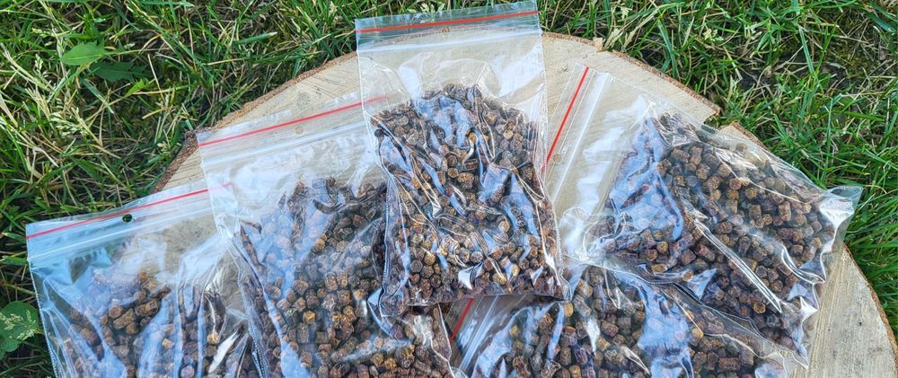 Pierzga Pszczela 100 gram