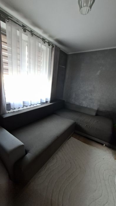 Rogówka szara duża