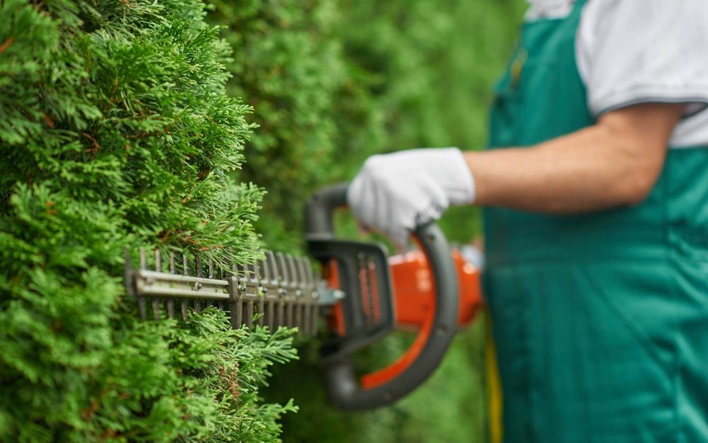 Przycinanie żywopłotow, usługi ogrodnicze