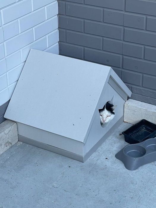 Будиночки для котів та невеликих собак