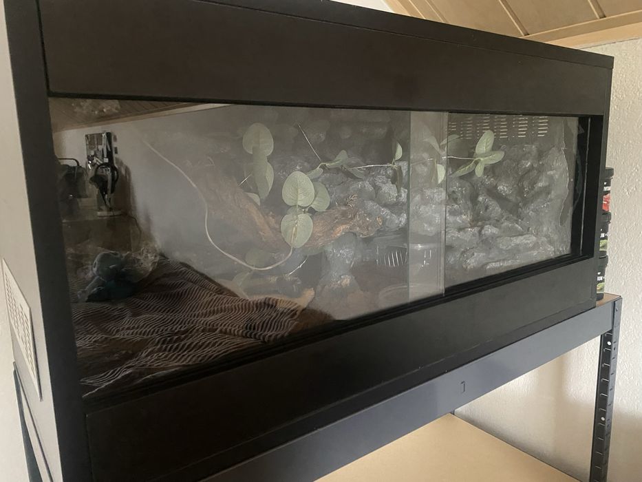 Czarne Terrarium dla agamy gekona weza 80x40x40