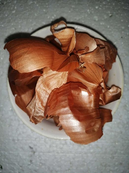 Гербарий, сушеные растения, цветы, травы, ягоды