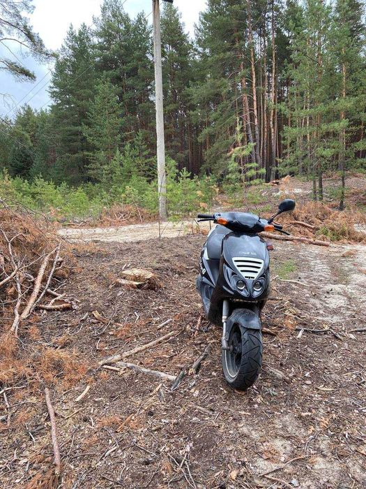 Piaggio nrg cm 3 мопед Скутер (honda Yamaha)