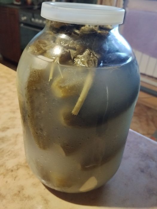 Огірки   квашені