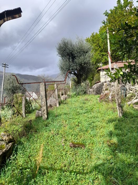 Vendono lindas vista 20000 euros