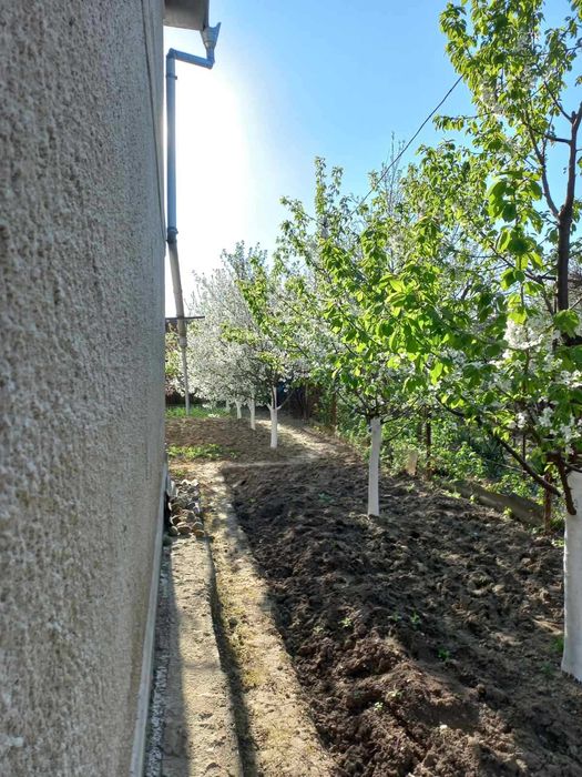 Дом по адресу ул. Капеланська (площадь 99,3 м²) - Atlanta.ua - фото 9