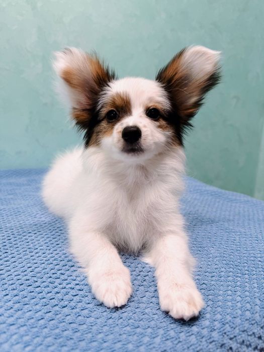 Файна дівчинка, є відео