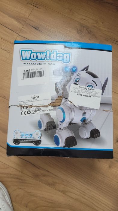 Wow dog. Intelligent dog. Robopies