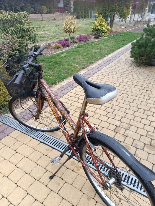 Rower górski z koszyczkiem