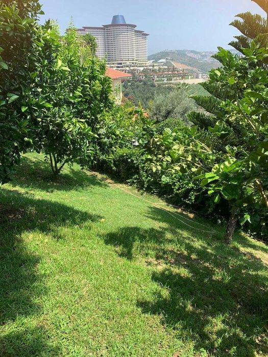 Квартира в Аланії, Туреччина обмін на Ужгород,Берегівський р-н, Косино