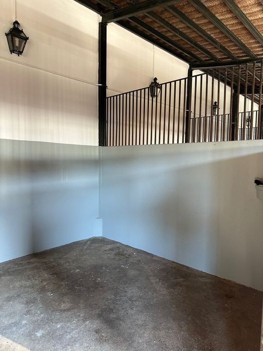 Cavalos a penso/Aulas de equitação