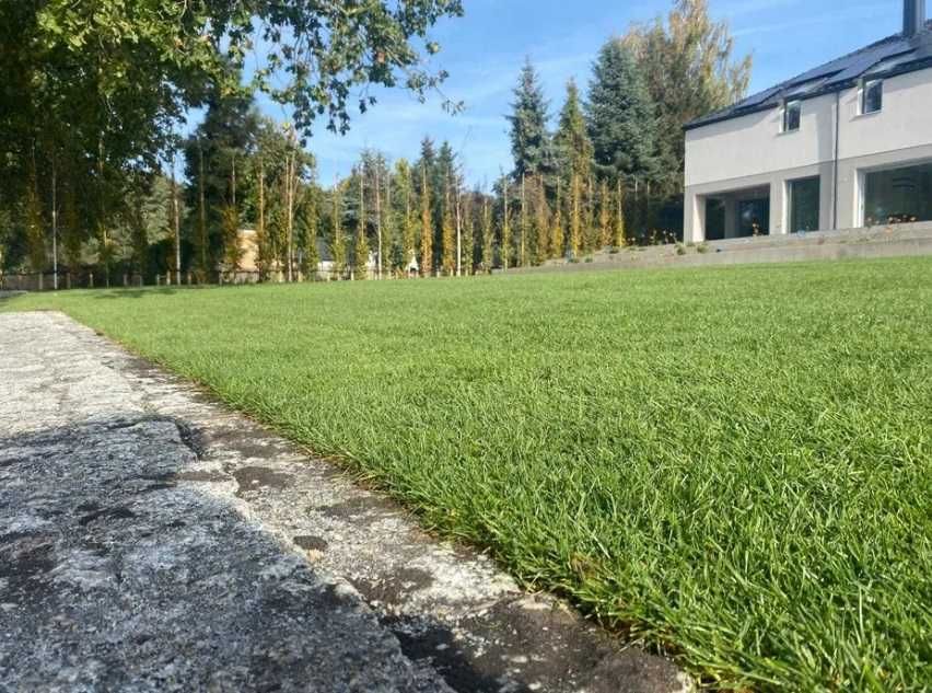 Trawa z rolki Trawnik Producent PREMIUM