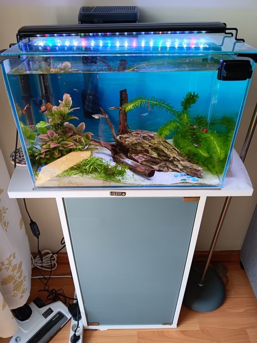Super akwarium OPTI plus szafka  Tetra