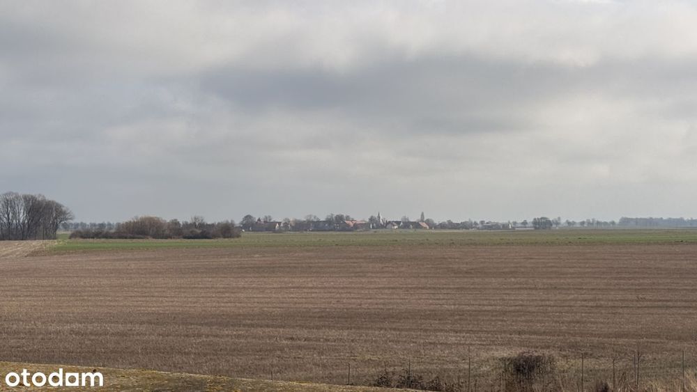OKAZJA Działki budowlane 1643 i 1644 m² | Bielany | A4 | INVEST-PARK – pohled 5