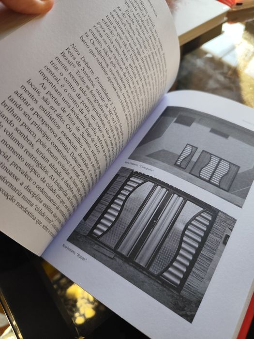 A cidade vista - Beatriz Sarlo