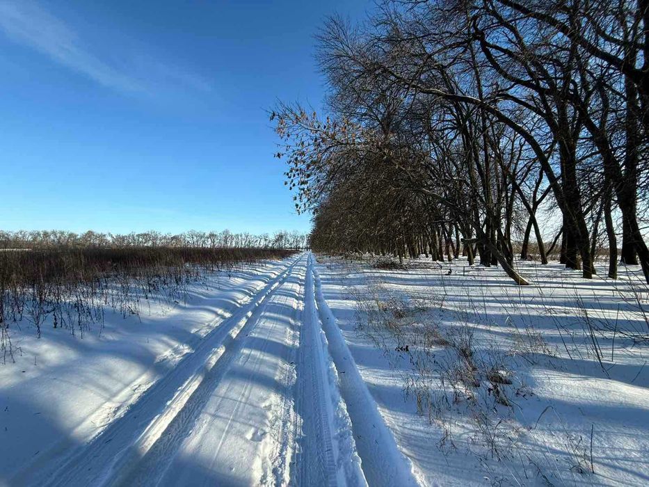 Продам земельну ділянку під житлову забудову на Тяжилові 8421